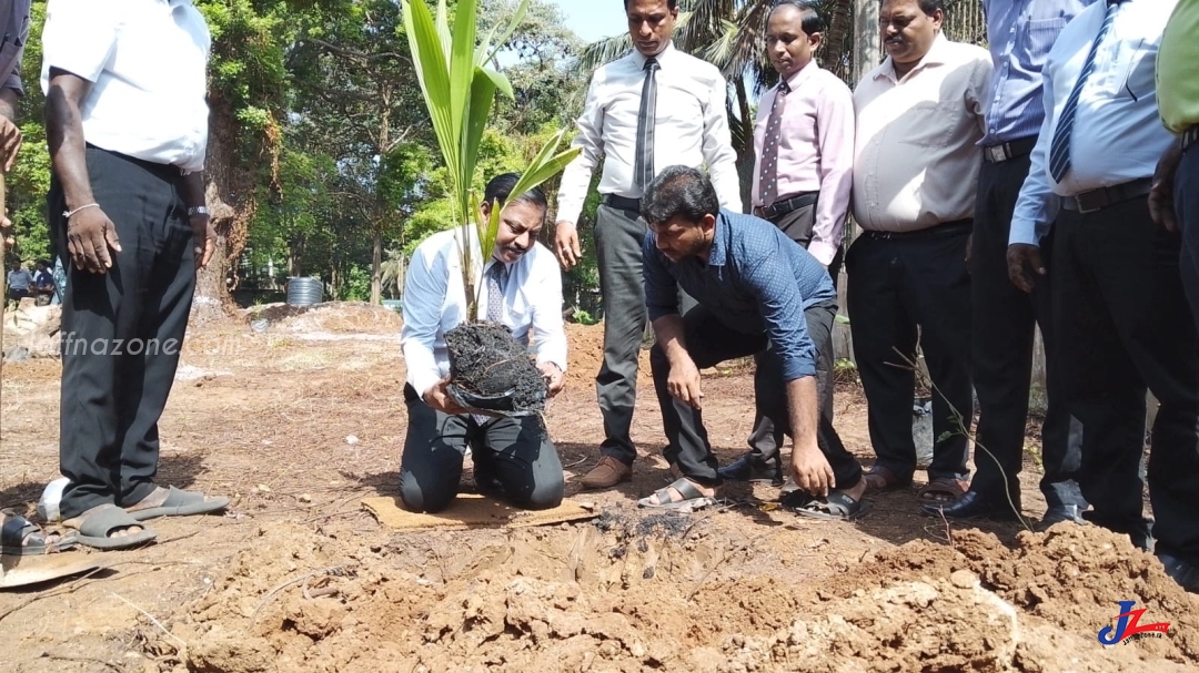 யாழ் பழைய பூங்காவளாகத்தில் பசுமை காடாக்கல் செய்யத் திட்டம்